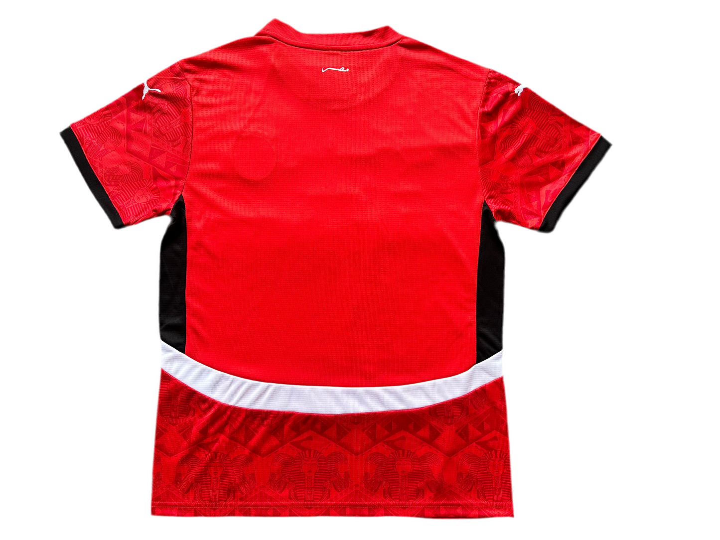 Egypt National Football Jersey/Kits