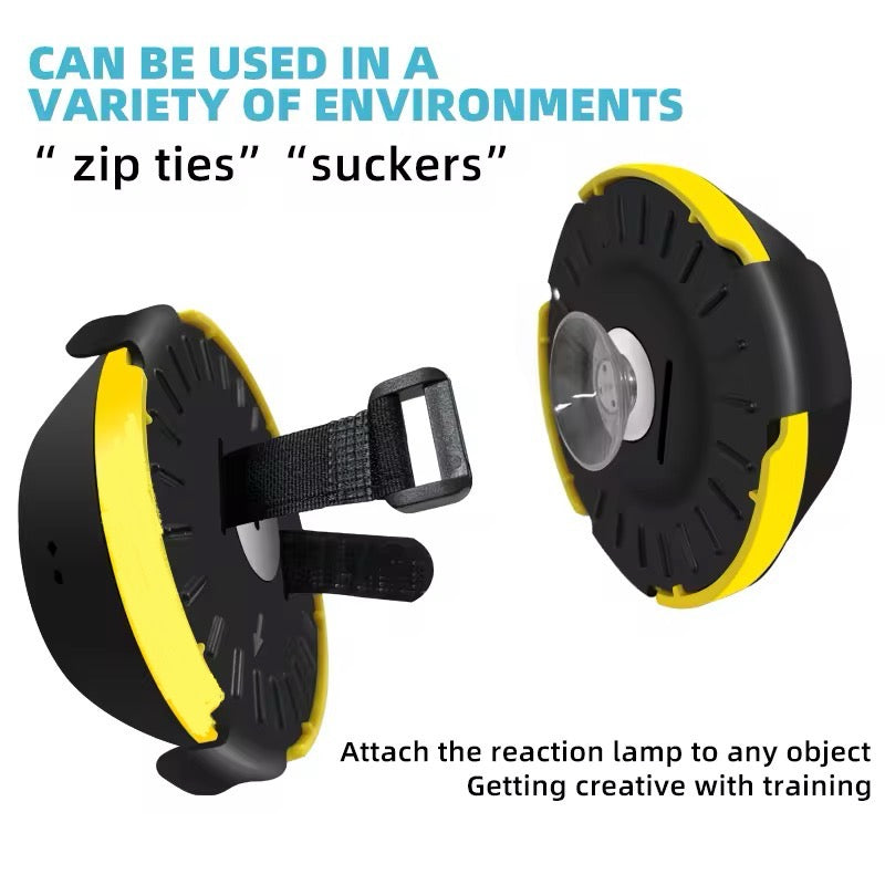 REACTION TRAINING LAMP (4)