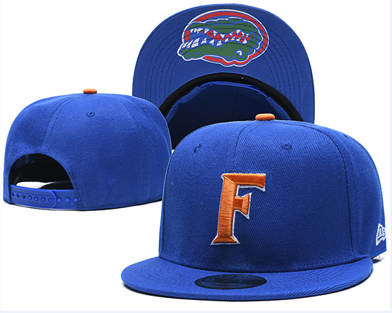 Florida Gators Core 9FIFTY Snapback Cap