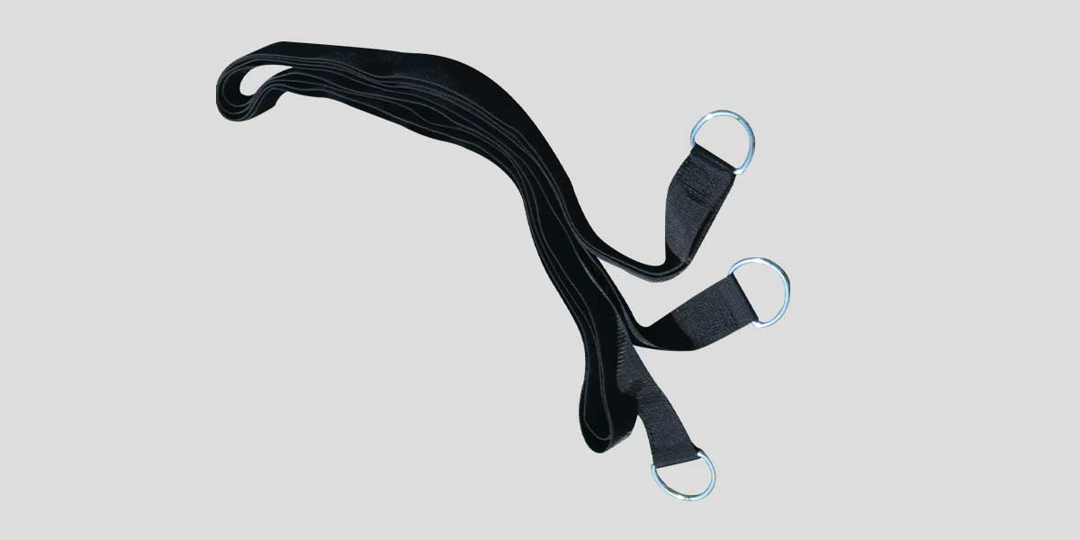 Harness
