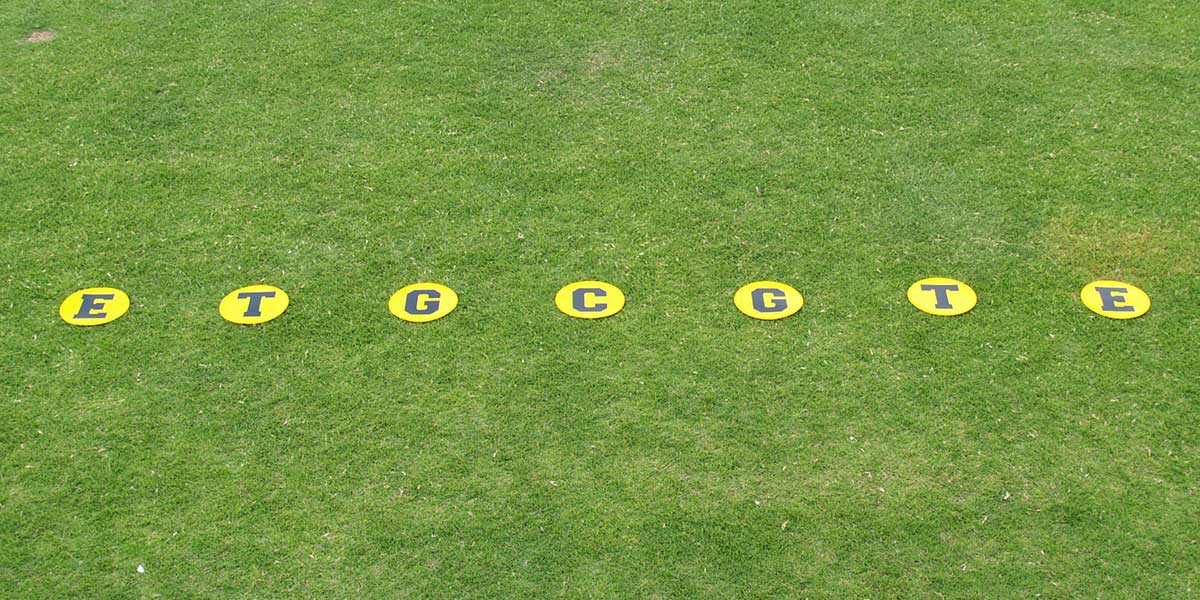 Line-Up Disc