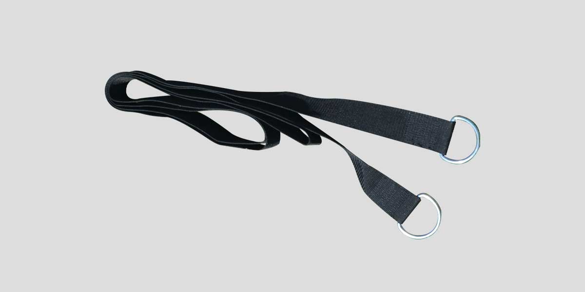Harness