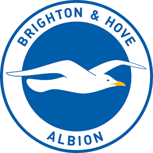 Brighton & Hove Albion Collected