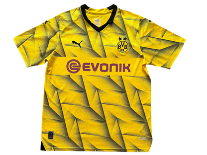 Borussia Dortmund Replica Jerseys/Kits