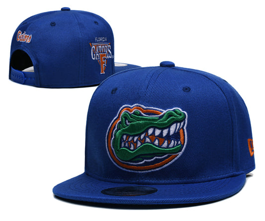 Florida Gators Core 9FIFTY Snapback Cap