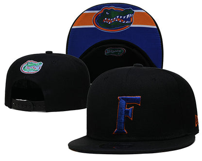 Florida Gators Core 9FIFTY Snapback Cap
