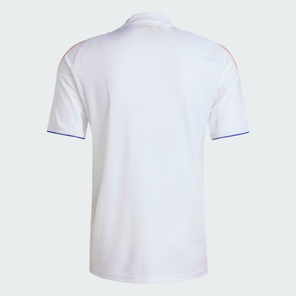 Olympique Lyonnais Replica Jerseys/Kits