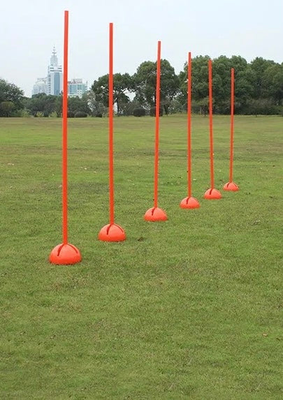 Training Poles 6 Set Poles Range 28”x60”