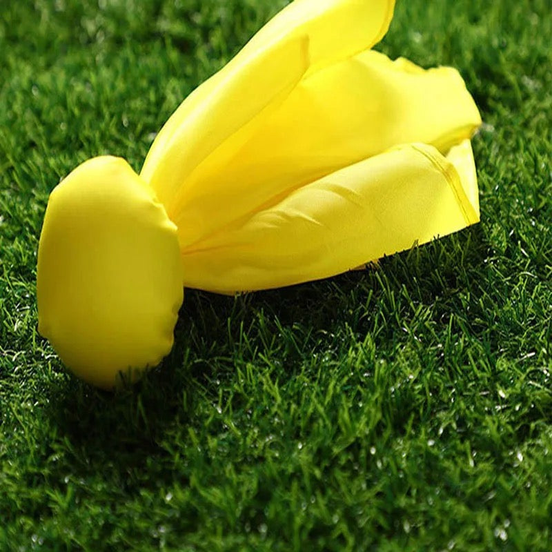 American Football Official Penalty Flags