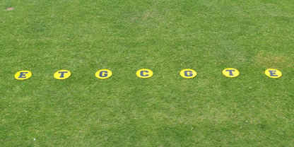 Line-Up Disc